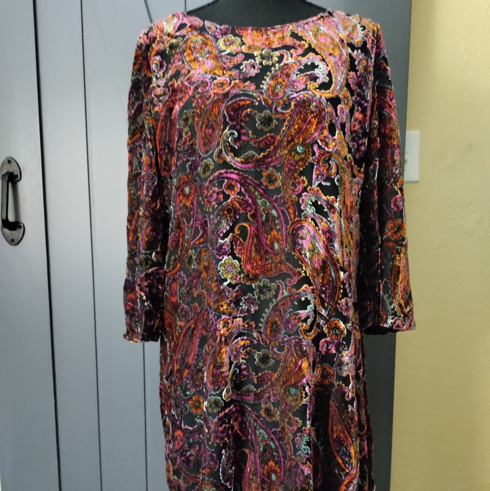 Studio Birkin Velvet Mini Dress